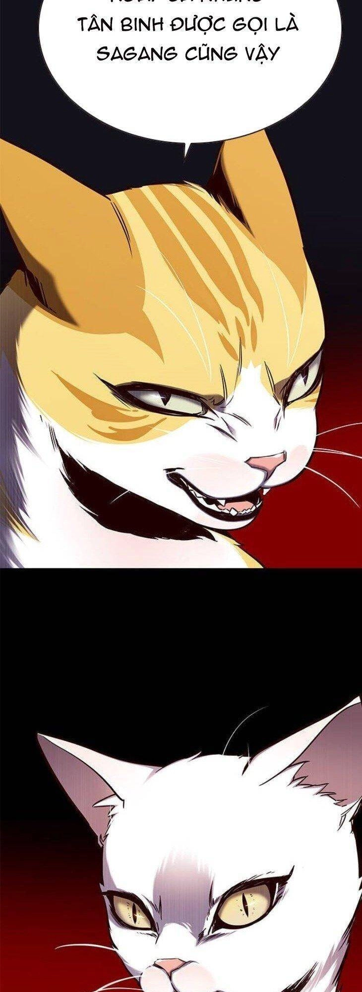 Hoá Thân Thành Mèo Chapter 146 - 42