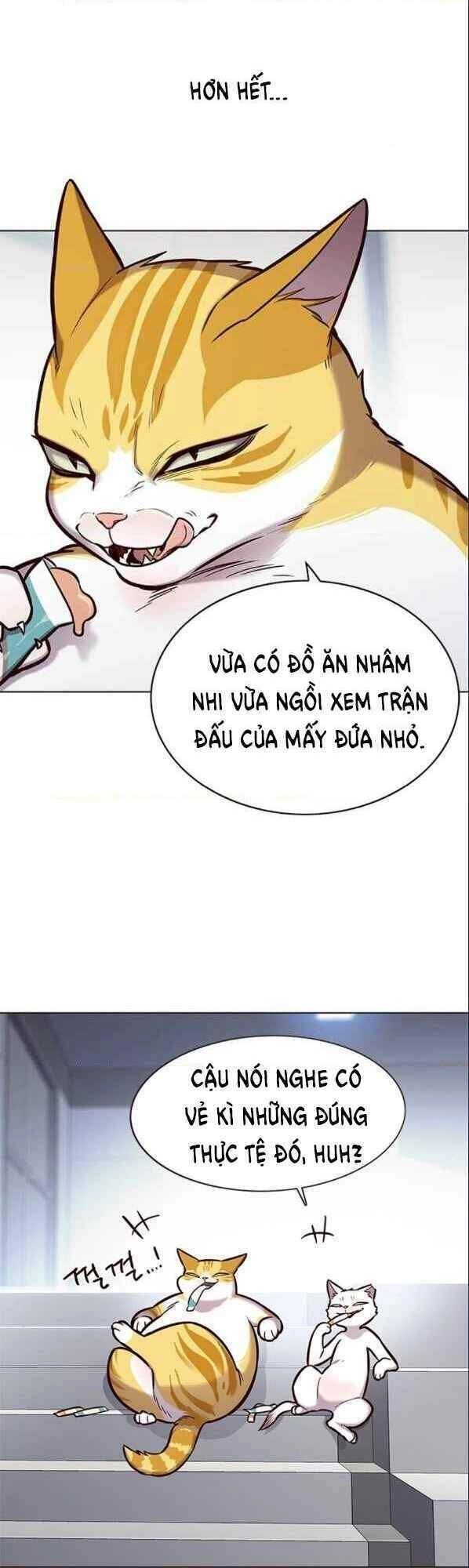 Hoá Thân Thành Mèo Chapter 153 - 3