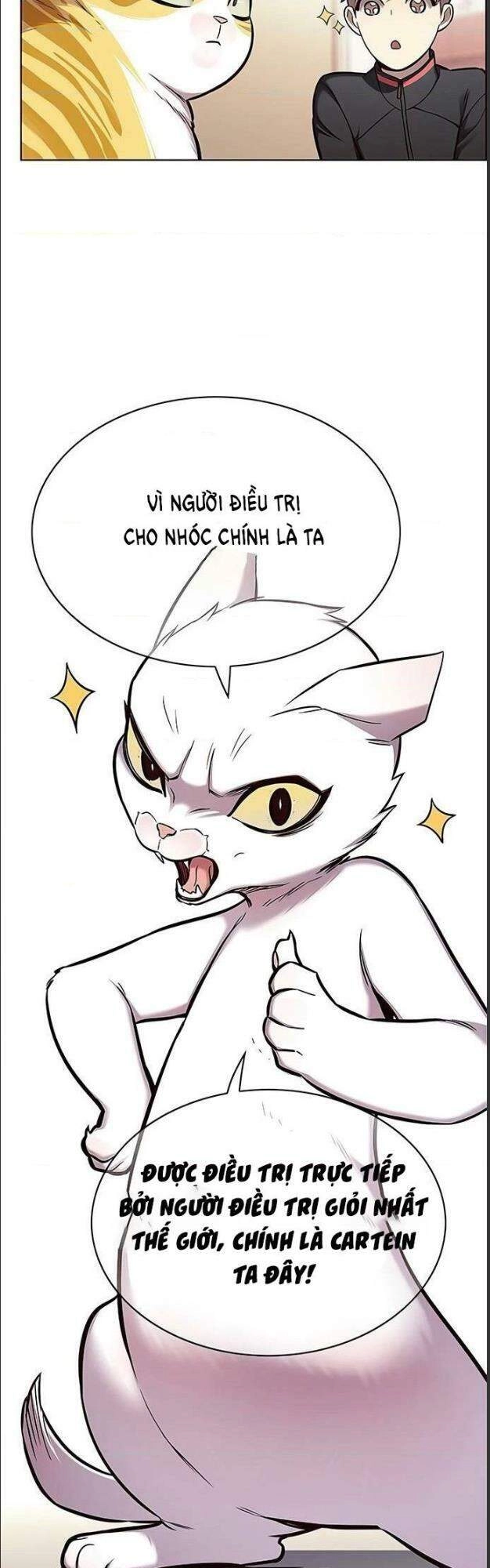 Hoá Thân Thành Mèo Chapter 156 - 4