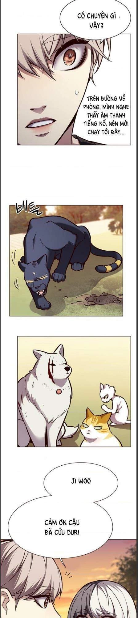 Hoá Thân Thành Mèo Chapter 162 - 9