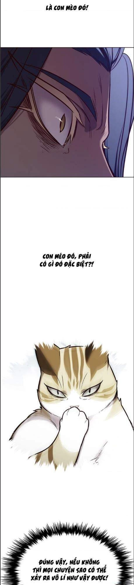 Hoá Thân Thành Mèo Chapter 164 - 33