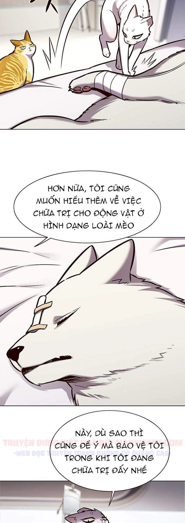 Hoá Thân Thành Mèo Chapter 166 - 11