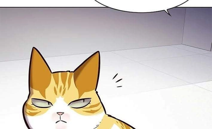 Hoá Thân Thành Mèo Chapter 166 - 13