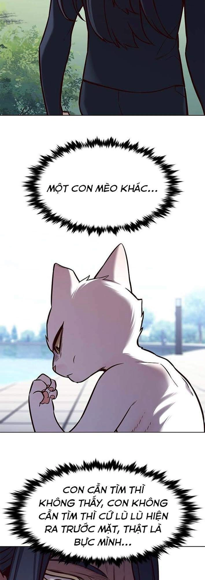 Hoá Thân Thành Mèo Chapter 166 - 54