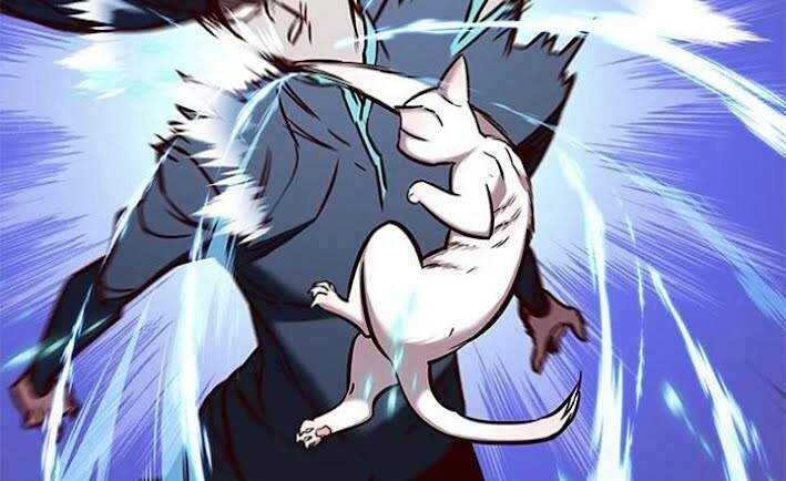 Hoá Thân Thành Mèo Chapter 166 - 76