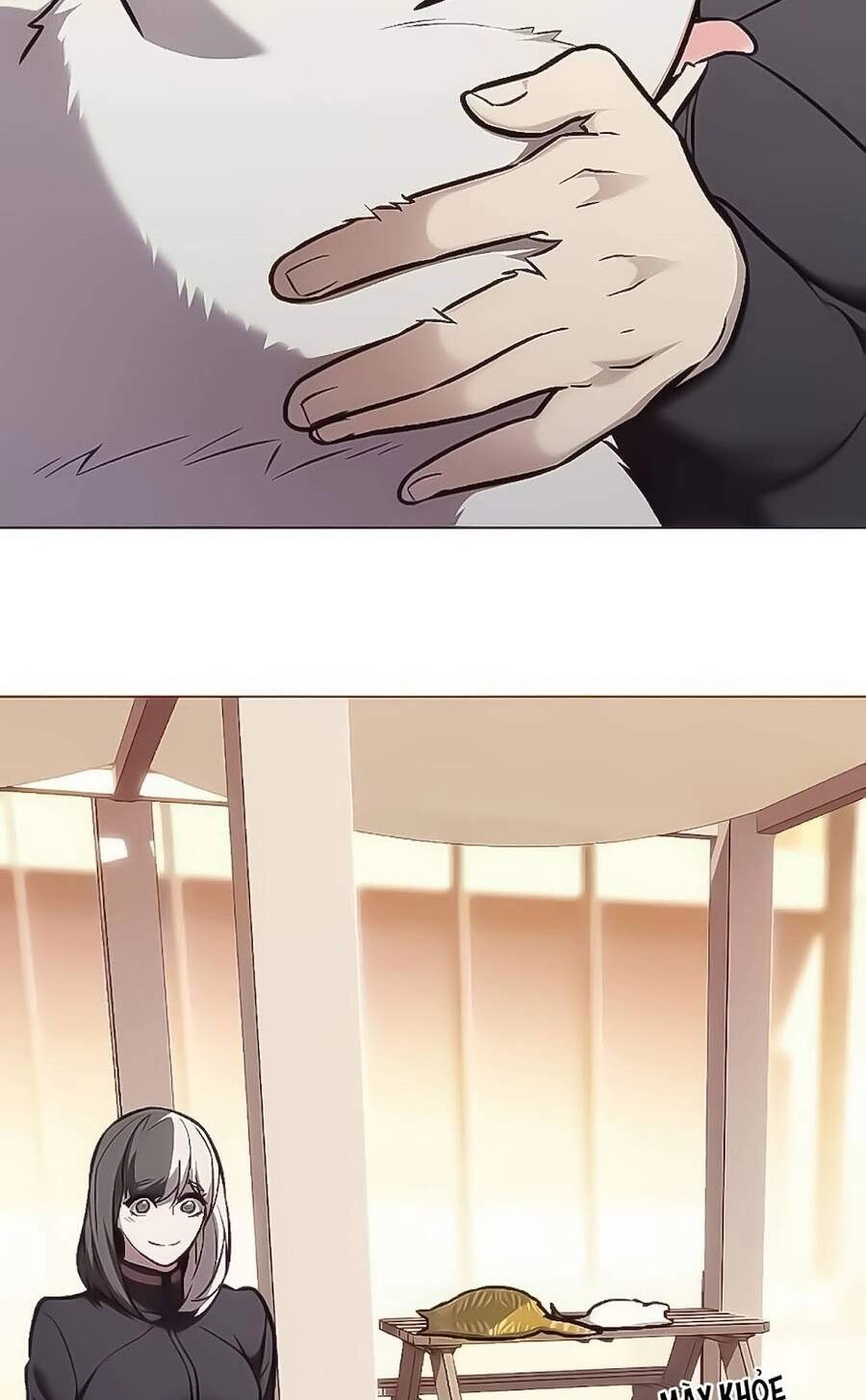 Hoá Thân Thành Mèo Chapter 168 - 28