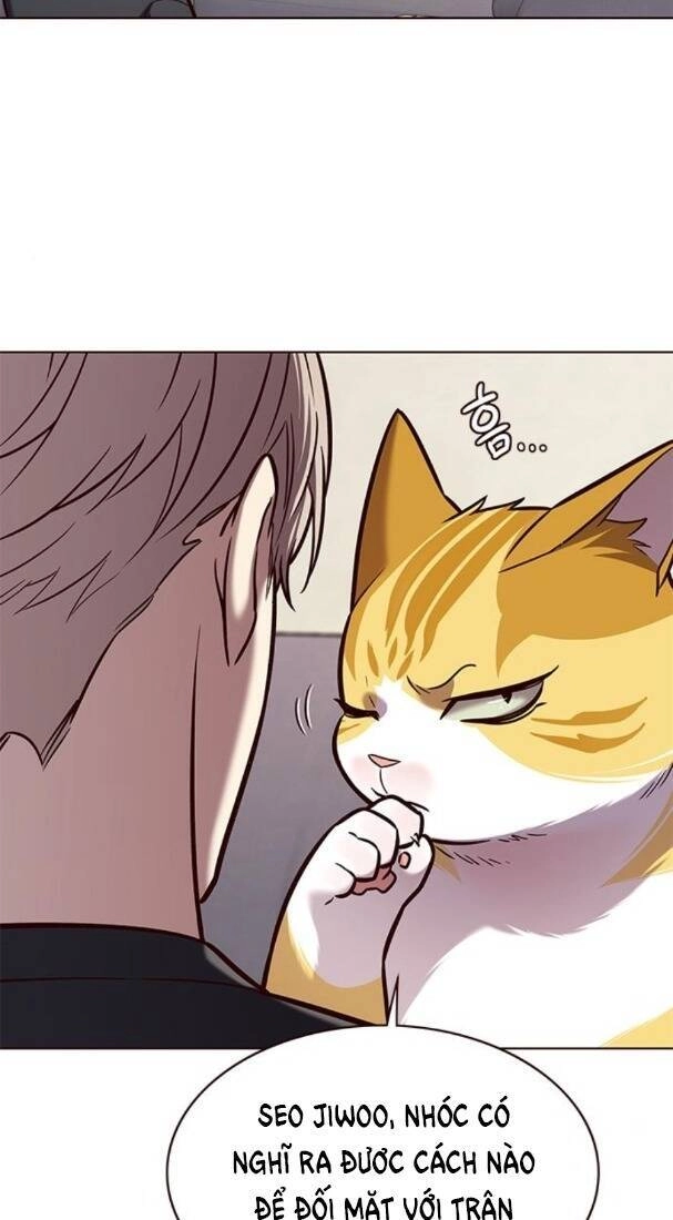 Hoá Thân Thành Mèo Chapter 173 - 23