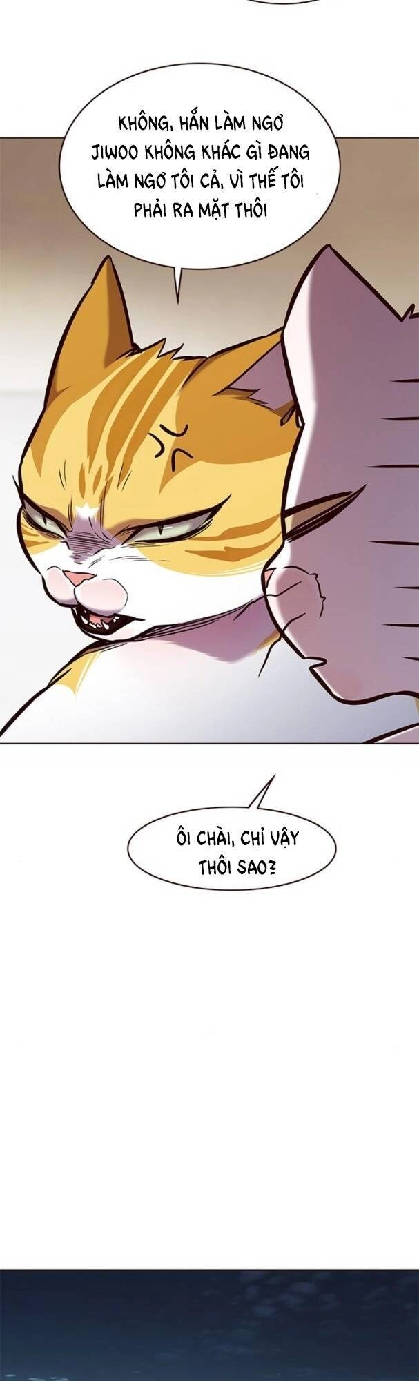 Hoá Thân Thành Mèo Chapter 173 - 34