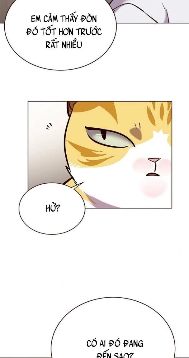 Hoá Thân Thành Mèo Chapter 176 - 59