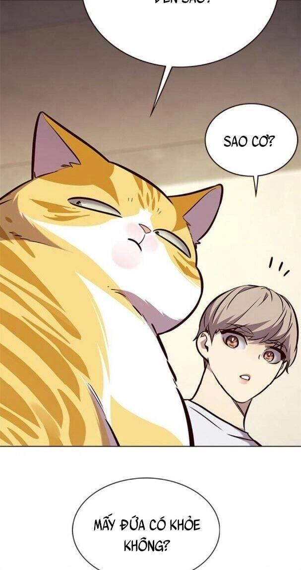 Hoá Thân Thành Mèo Chapter 176 - 60