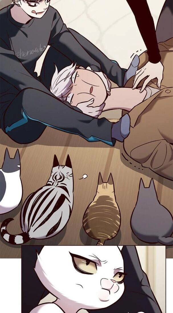 Hoá Thân Thành Mèo Chapter 178 - 23