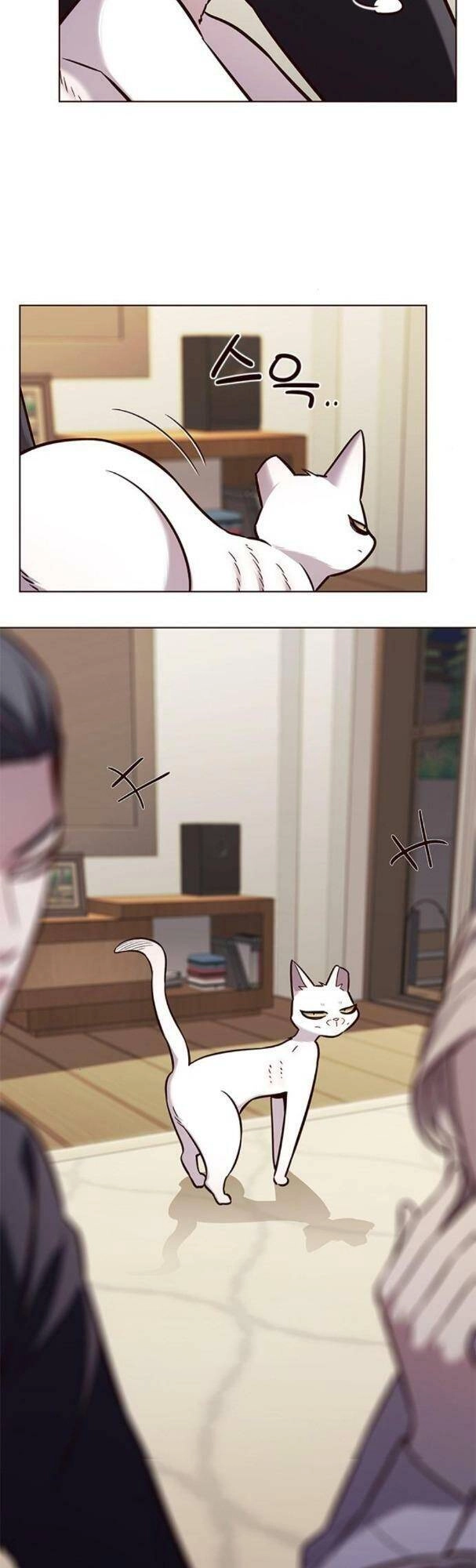 Hoá Thân Thành Mèo Chapter 178 - 24