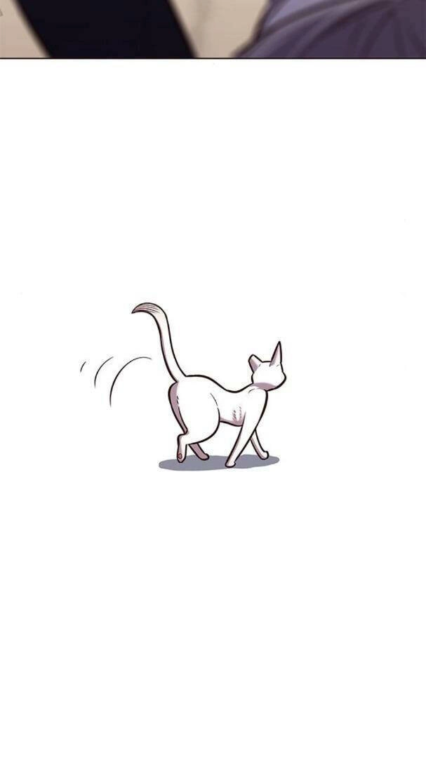 Hoá Thân Thành Mèo Chapter 178 - 25