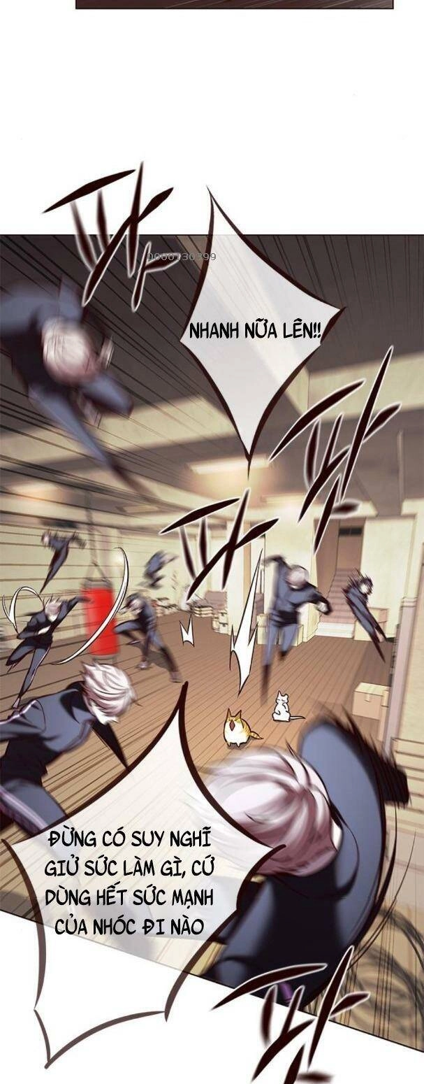 Hoá Thân Thành Mèo Chapter 179 - 23