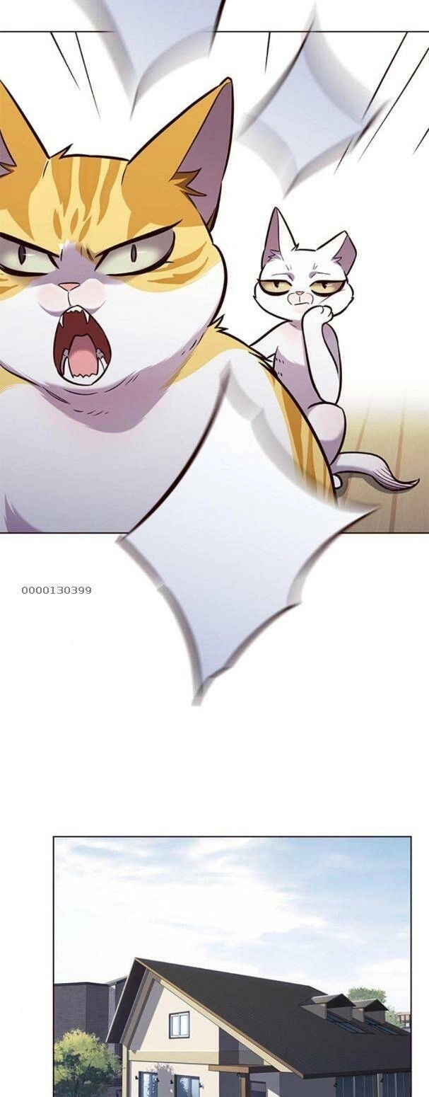 Hoá Thân Thành Mèo Chapter 179 - 25