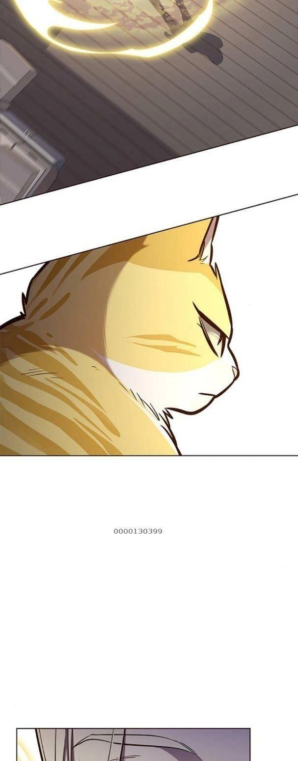 Hoá Thân Thành Mèo Chapter 179 - 31