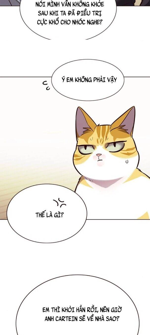 Hoá Thân Thành Mèo Chapter 179 - 36