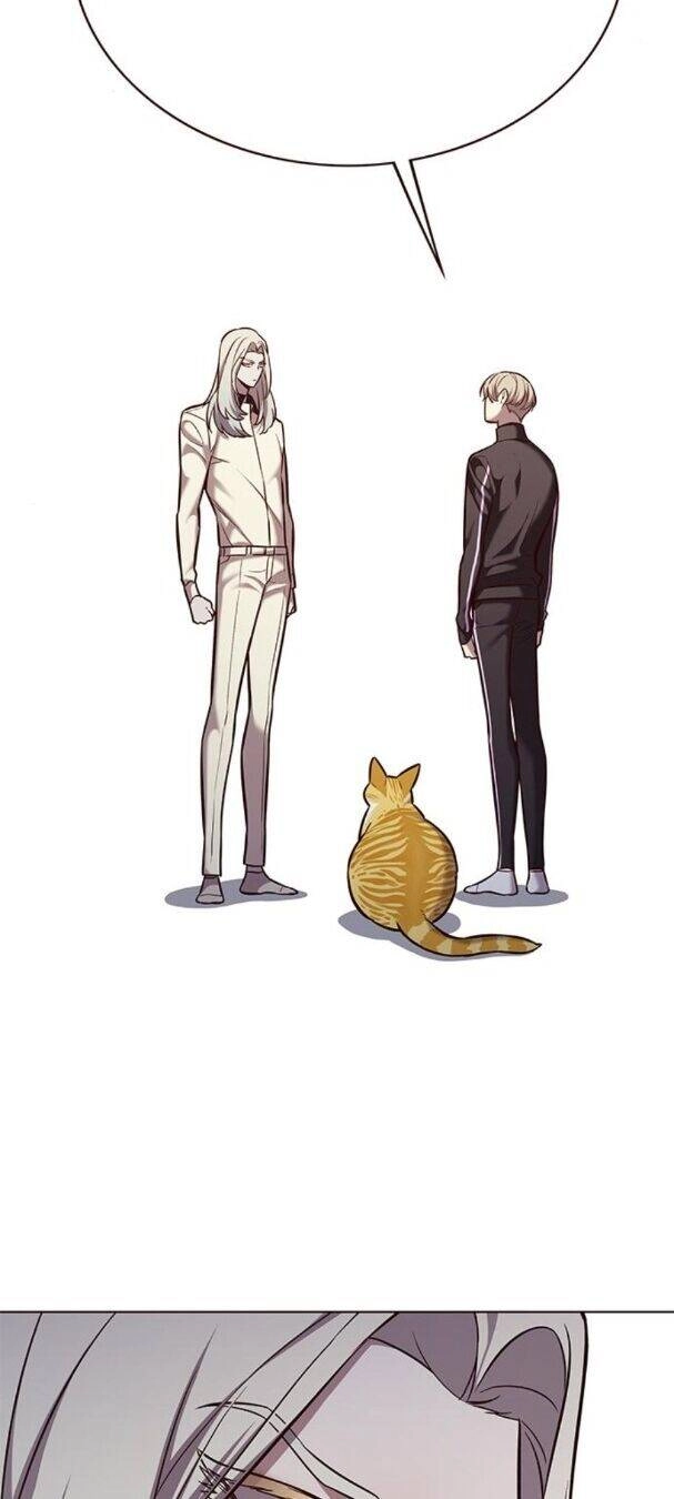 Hoá Thân Thành Mèo Chapter 179 - 37