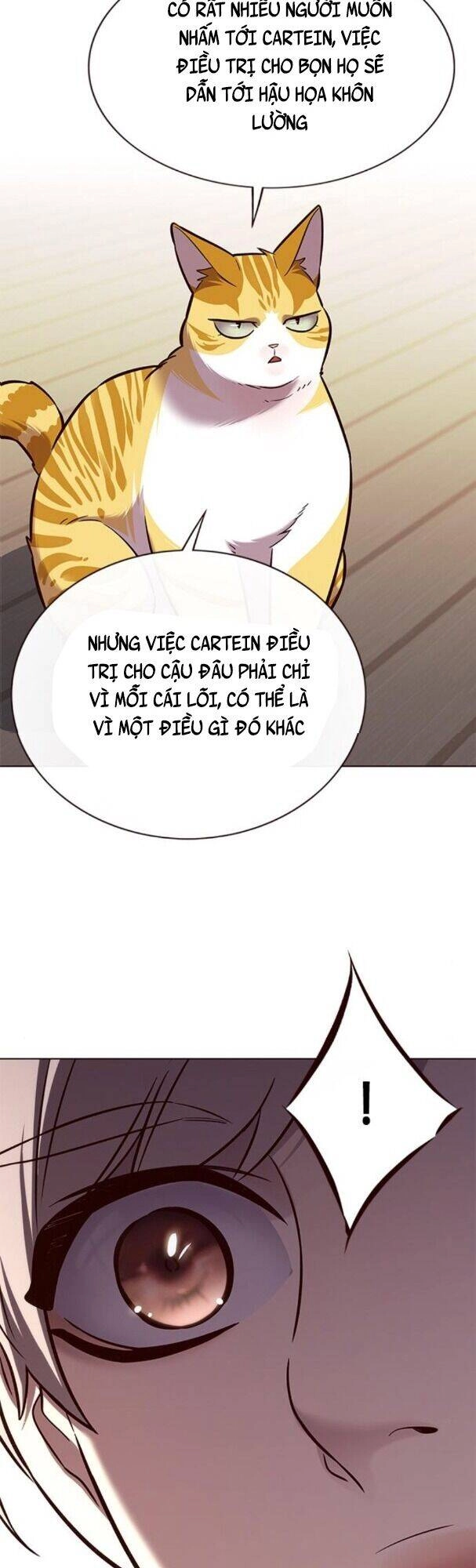 Hoá Thân Thành Mèo Chapter 179 - 44