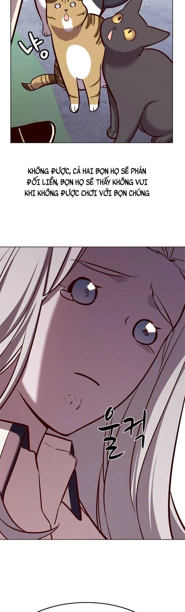 Hoá Thân Thành Mèo Chapter 179 - 50