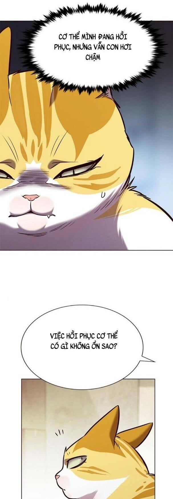 Hoá Thân Thành Mèo Chapter 180 - 4