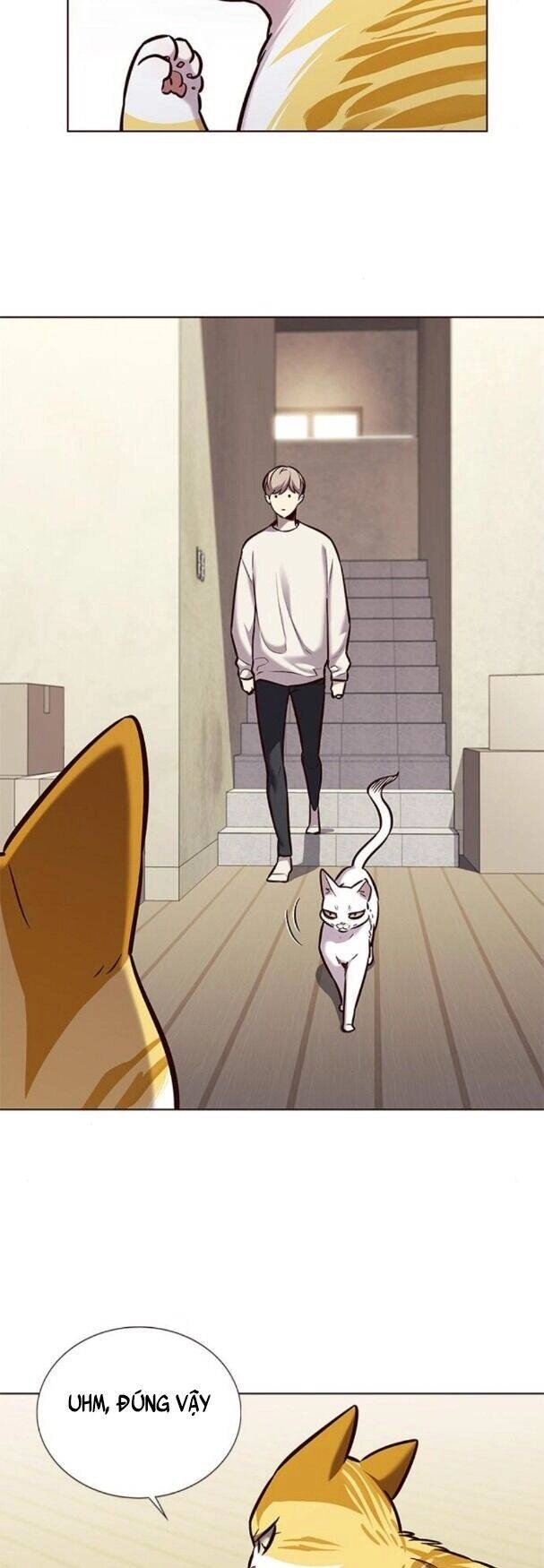 Hoá Thân Thành Mèo Chapter 180 - 5