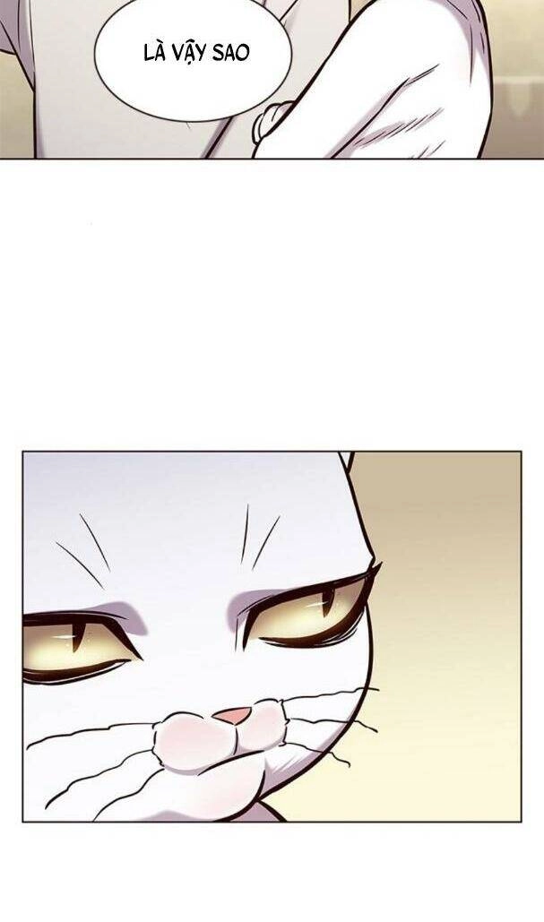 Hoá Thân Thành Mèo Chapter 180 - 13