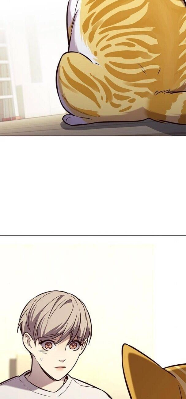 Hoá Thân Thành Mèo Chapter 180 - 15