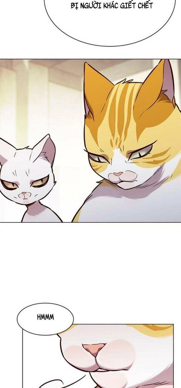 Hoá Thân Thành Mèo Chapter 180 - 19