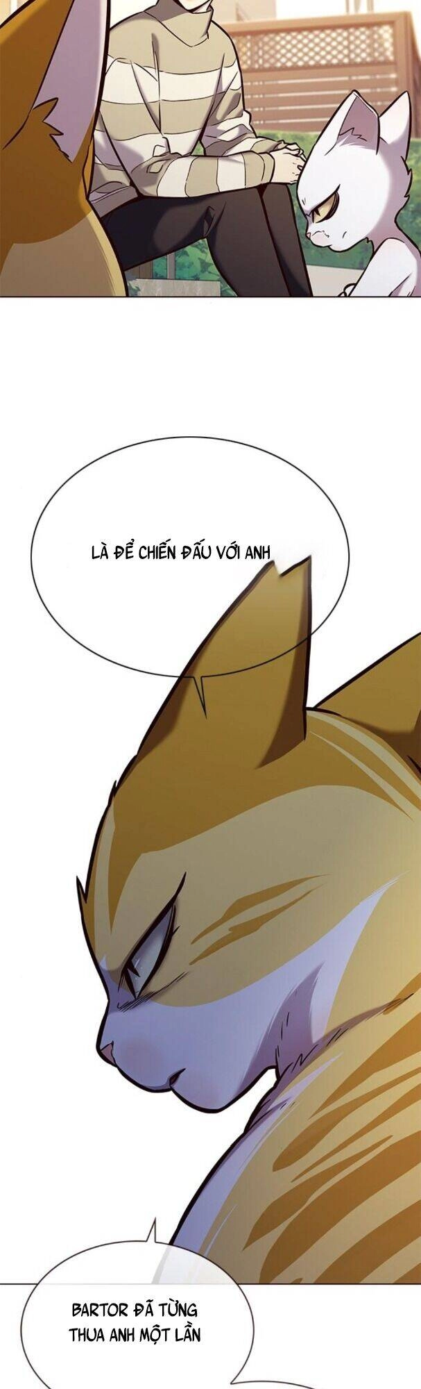 Hoá Thân Thành Mèo Chapter 181 - 47