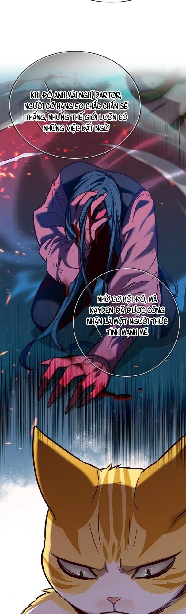 Hoá Thân Thành Mèo Chapter 181 - 49