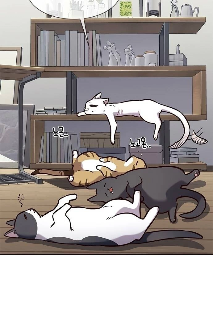 Hoá Thân Thành Mèo Chapter 187 - 4