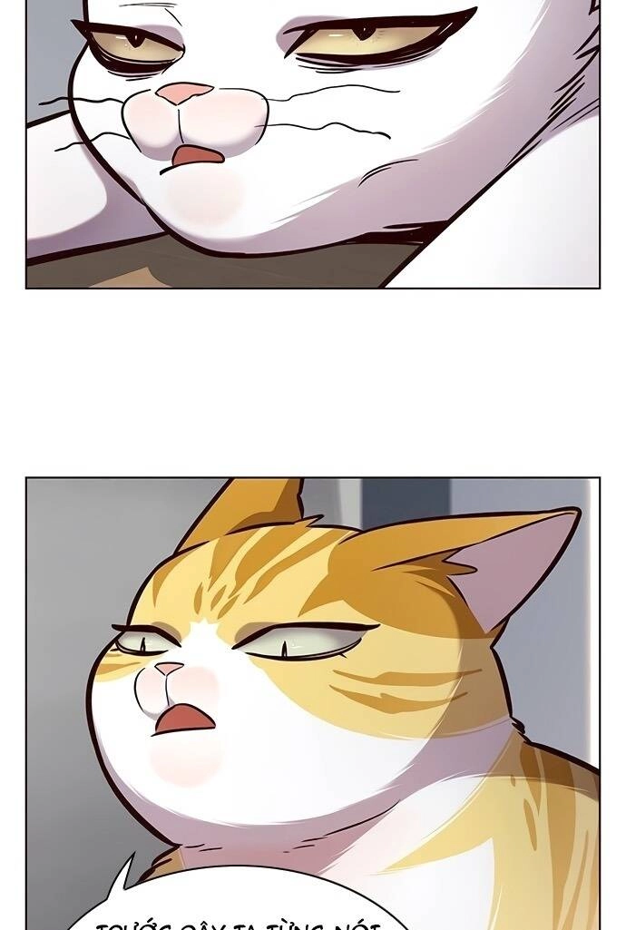 Hoá Thân Thành Mèo Chapter 187 - 7