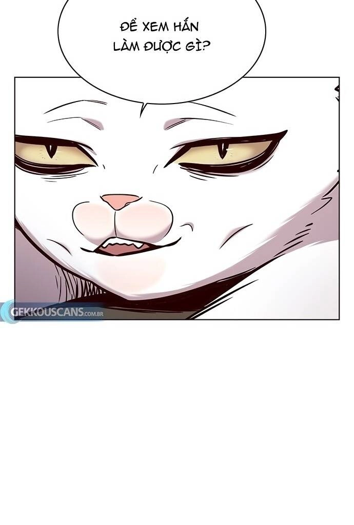 Hoá Thân Thành Mèo Chapter 187 - 11