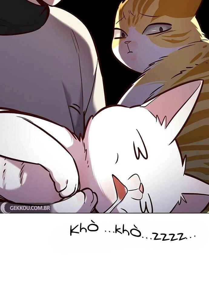 Hoá Thân Thành Mèo Chapter 188 - 12