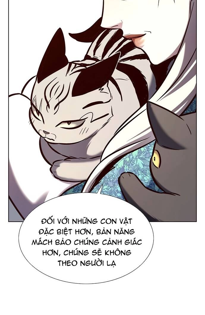 Hoá Thân Thành Mèo Chapter 188 - 45