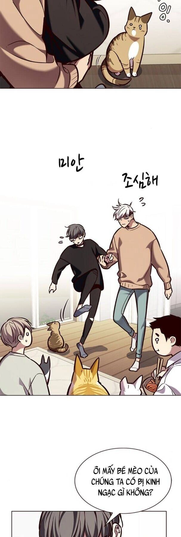 Hoá Thân Thành Mèo Chapter 190 - 7