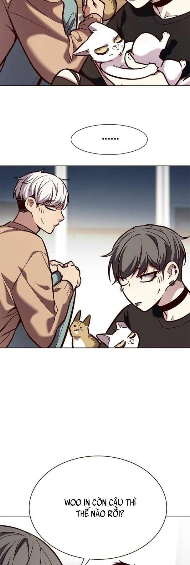 Hoá Thân Thành Mèo Chapter 190 - 12