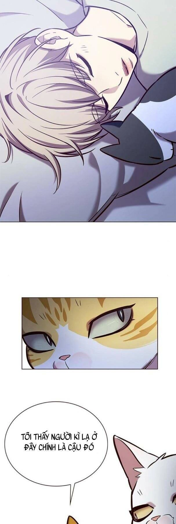 Hoá Thân Thành Mèo Chapter 190 - 26