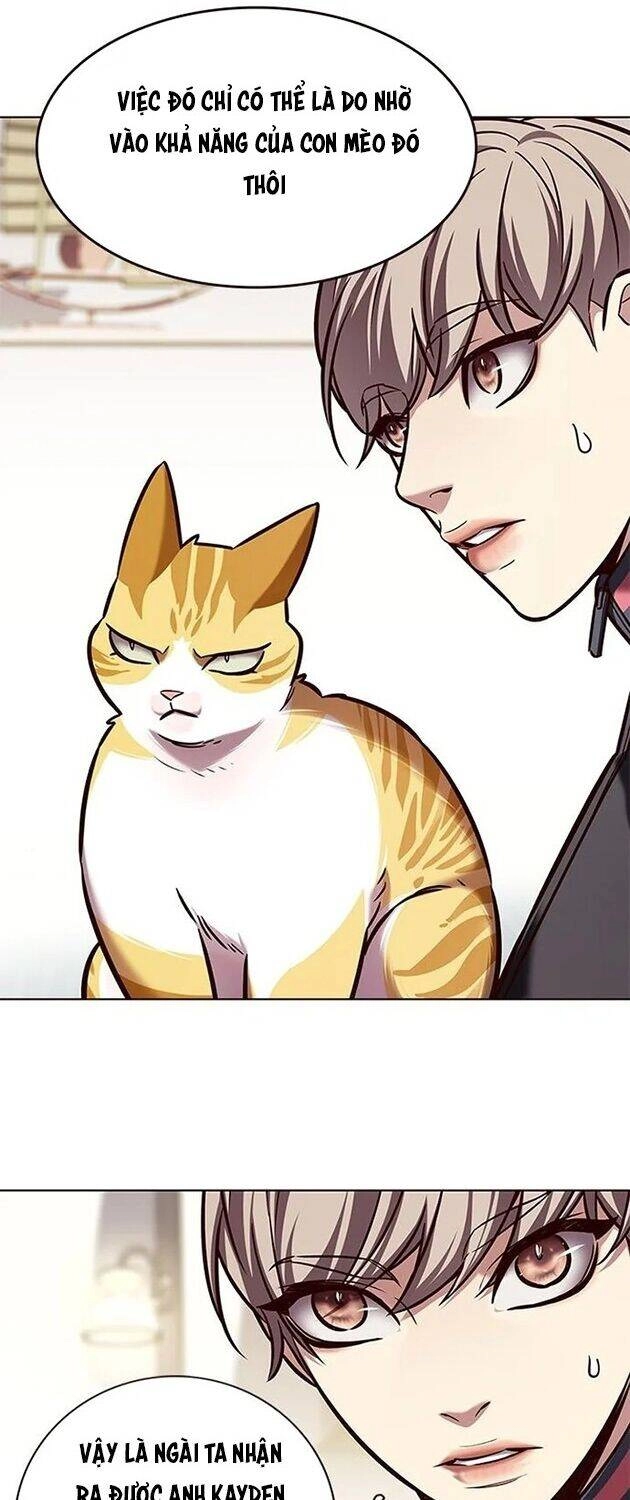 Hoá Thân Thành Mèo Chapter 196 - 10