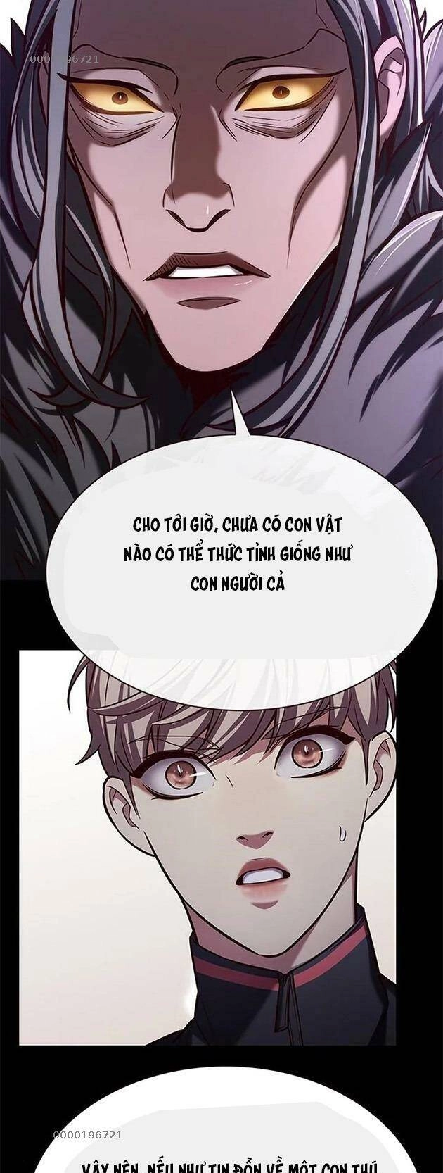 Hoá Thân Thành Mèo Chapter 196 - 15