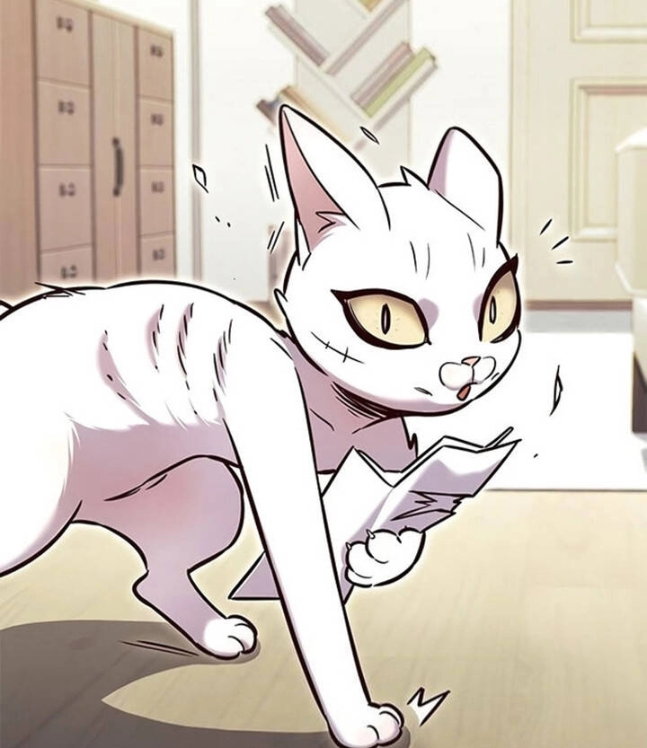 Hoá Thân Thành Mèo Chapter 200 - 52