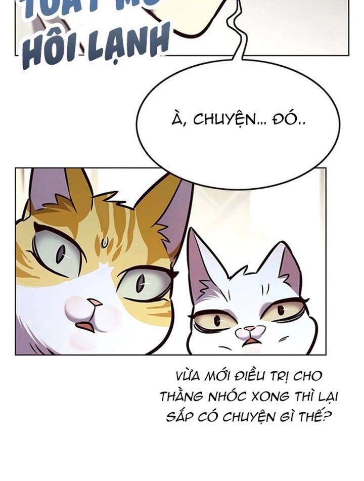 Hoá Thân Thành Mèo Chapter 200 - 62