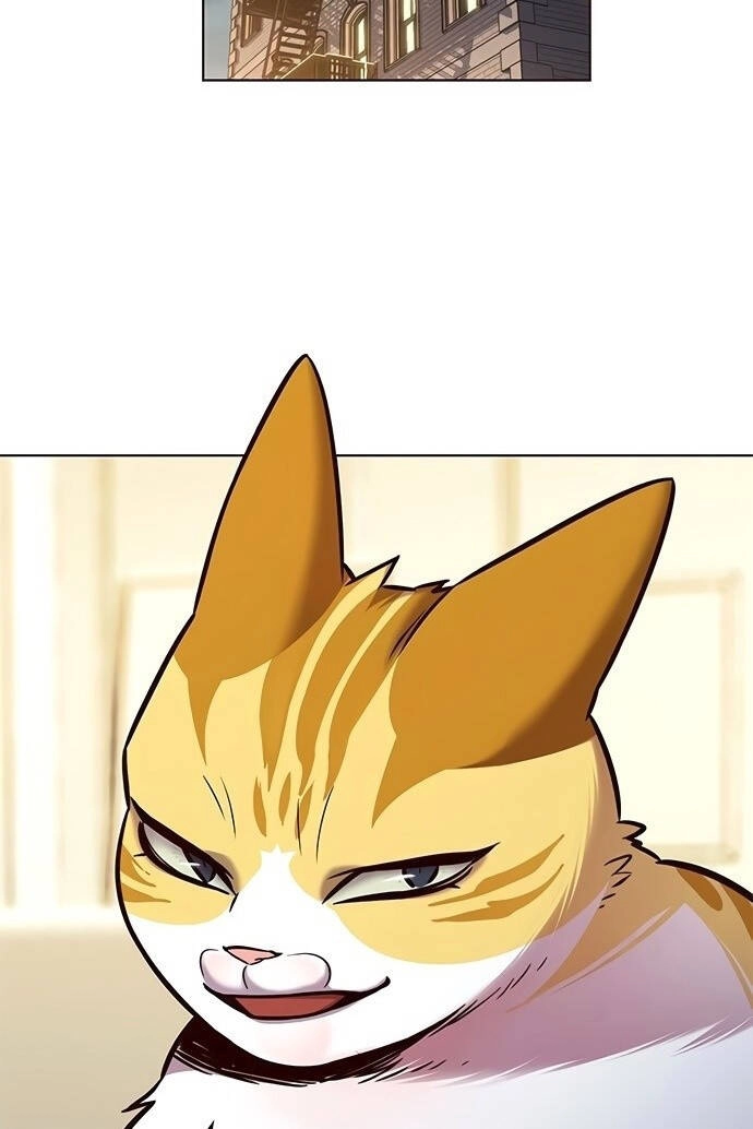 Hoá Thân Thành Mèo Chapter 201 - 7