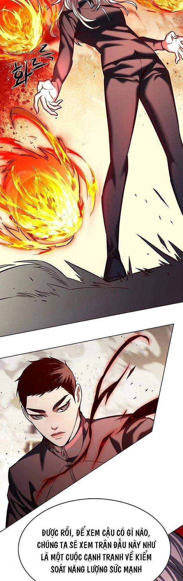 Hoá Thân Thành Mèo Chapter 204 - 15