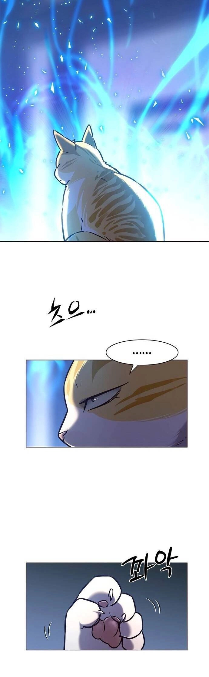 Hoá Thân Thành Mèo Chapter 214 - 41