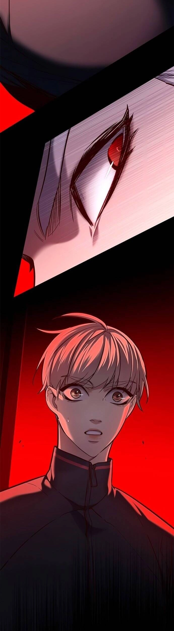 Hoá Thân Thành Mèo Chapter 216 - 45