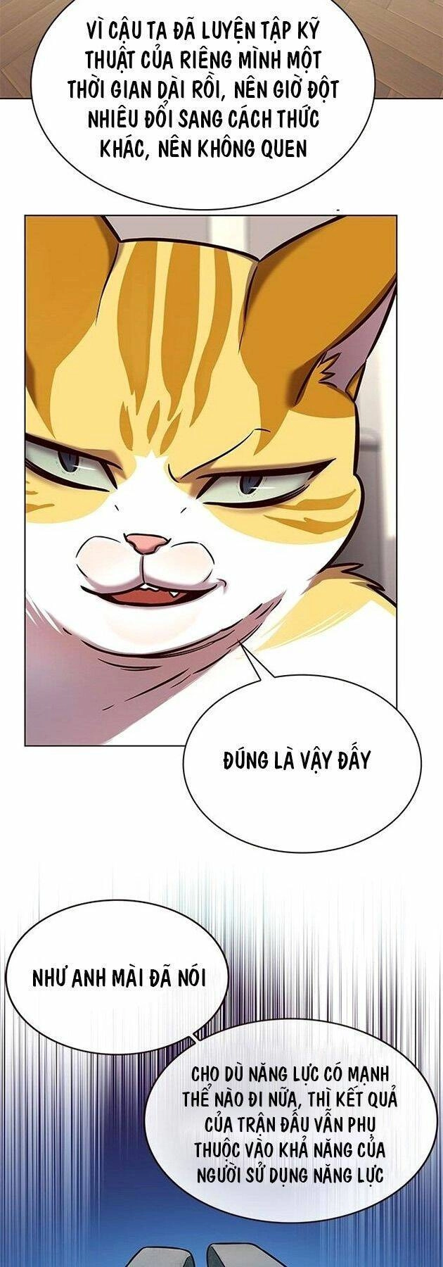 Hoá Thân Thành Mèo Chapter 218 - 47