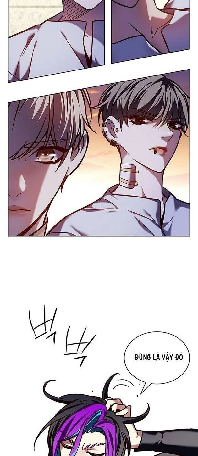 Hoá Thân Thành Mèo Chapter 219 - 12