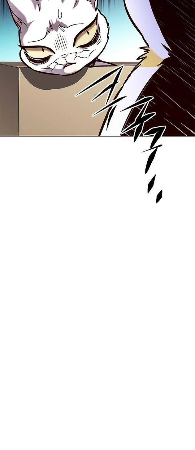 Hoá Thân Thành Mèo Chapter 219 - 51